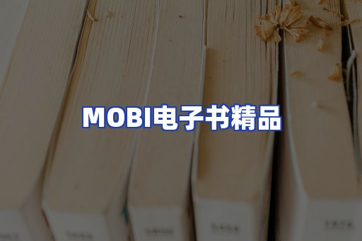 外文电子书产品